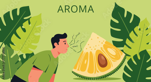 Illustration Of A Person Appreciating The Scent Of A Tropical Fruit, Aroma Concept