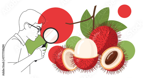 Illustration Of A Person Examining Rambutans With A Magnifying Glass Close Up View