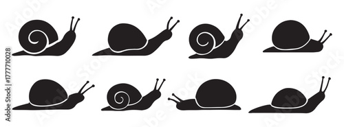 Various snail silhouettes in different poses on white background