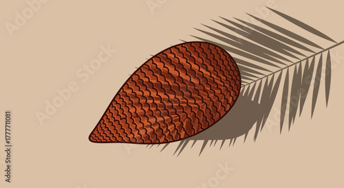 Illustration Of A Salak Fruit With Palm Leaf Shadow Depicting Natural Aesthetics