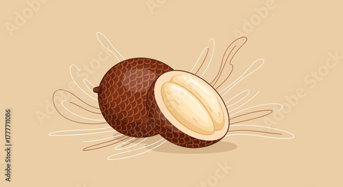Illustration Of A Salak Fruit, Displaying Its Unique Texture and Delicious Internals