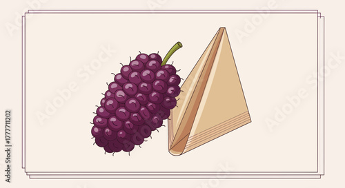 Illustration Of Purple Fruit Arrangement Beside A Folded Sandwich Food Graphic