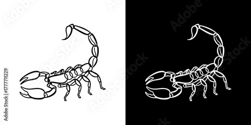 Vector art of a scorpion illustration set in both light and dark backgrounds, creating contrast