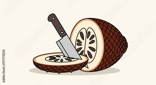 Illustration Of Salak Fruit Being Sliced Open With a Knife, Showing Its Sections