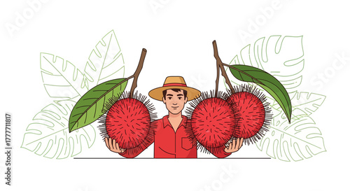 Illustration Of Farmer Displaying Exotic Rambutans Harvested From Tropical Fruit Farm