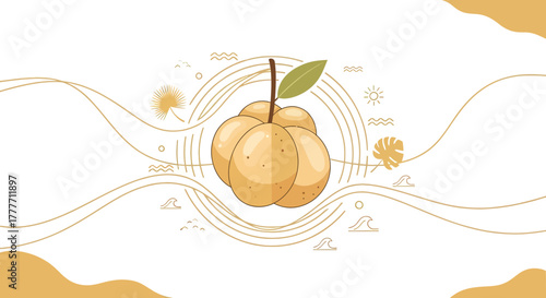 Illustration Of Fruity Longan Cluster With Decorative Tropical Elements Background