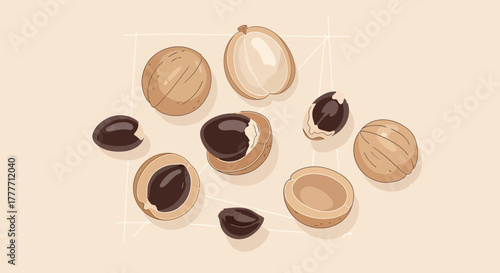 Illustration Of Longan Fruits: Detailed Visual Depiction With Artistic And Exquisite Style