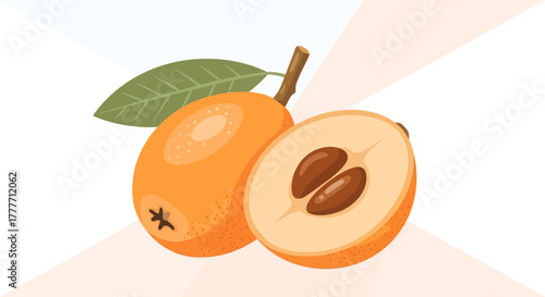 Illustration Of Loquats Showing The Whole Fruit And Sectional View Of Loquat