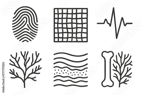 Body-Themed BioArt Icons. Line style icons of body-themed BioArt: fingerprint art shape, skin texture grid, heartbeat print lines,