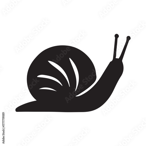 Snail silhouette icon graphic on white background illustration