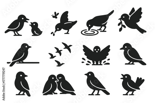 Bird Icon Collection. Solid style icons of bird interactions: bird feeding chick, bird chasing insect, bird drinking water, bird