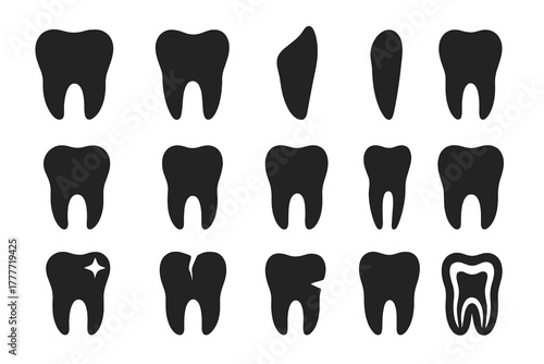 Teeth Icons Collection. Solid style icons of Teeth types: molar, premolar, canine, incisor, wisdom tooth, baby tooth, front tooth,