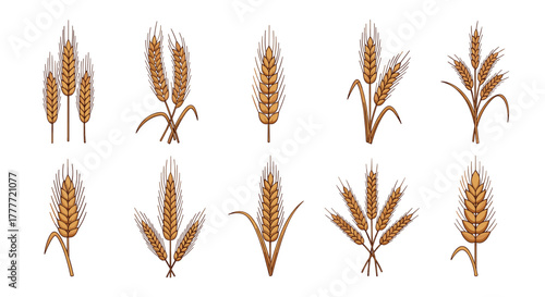 A collection of stylized illustrations depicting various arrangements and single stalks of golden wheat ears, symbolizing agriculture and harvest.
