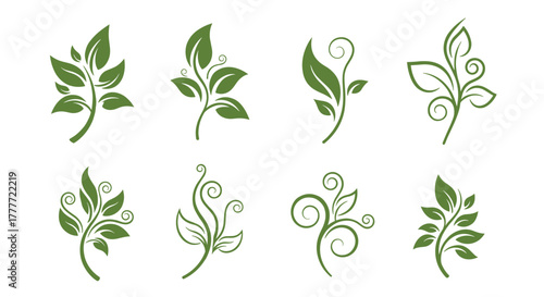 A collection of elegant green leaf and floral design elements, perfect for nature-themed projects and decorations.