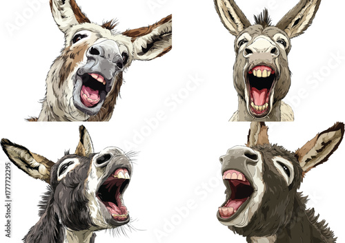 donkey cartoon vector clip art, open mouth, white background