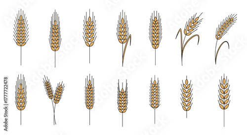 A collection of stylized wheat ears and rye spikes in various forms, depicting agricultural symbols for grain, flour, and baking.