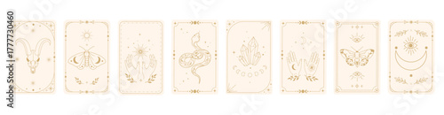 Mystical tarot design templates set with esoteric symbols goat skull, moths, snake, crystals, hands Boho style for branding, fortune telling decks, divination products, wall art, digital art. Vector