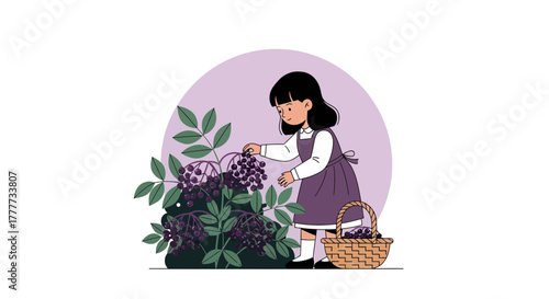Little Girl Harvesting Berries In A Garden With A Basket And Beautiful Plants Illustration