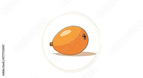 Loquat Fruit Graphic Depicted Inside An Organic Round Shape On White Background