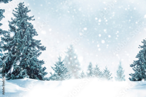 Greeting card. Landscape. Winter forest with Christmas bokeh. Trees in snow.
