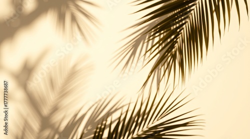 tropical palm tree silhouette at sunset on the beach