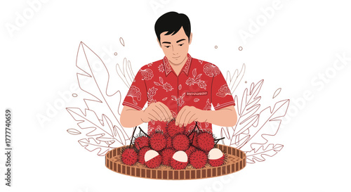 Man Harvesting Rambutans From Tray Shows Exotic Fruit Presentation In Vector Illustration