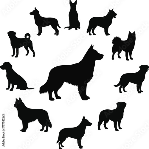 A collection of dog silhouettes in various poses against a clean white background with a minimalist style.