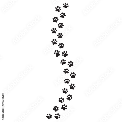 Paw print of a dog or cat. Footprint pet. Black lines animal prints isolated on white background. Tiger paws. Cute canine pattern. Puppy track. Feline step outline. Kitten leg. Vector illustration.