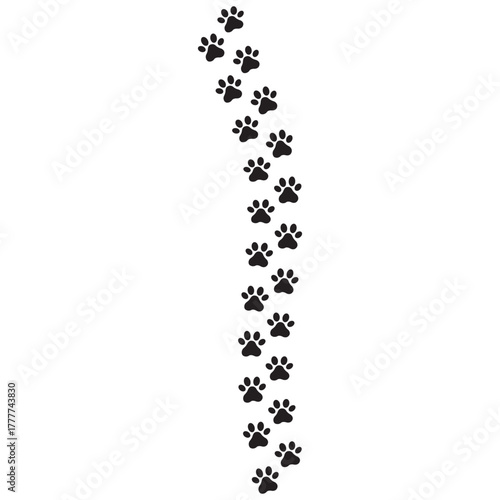 Paw print of a dog or cat. Footprint pet. Black lines animal prints isolated on white background. Tiger paws. Cute canine pattern. Puppy track. Feline step outline. Kitten leg. Vector illustration.
