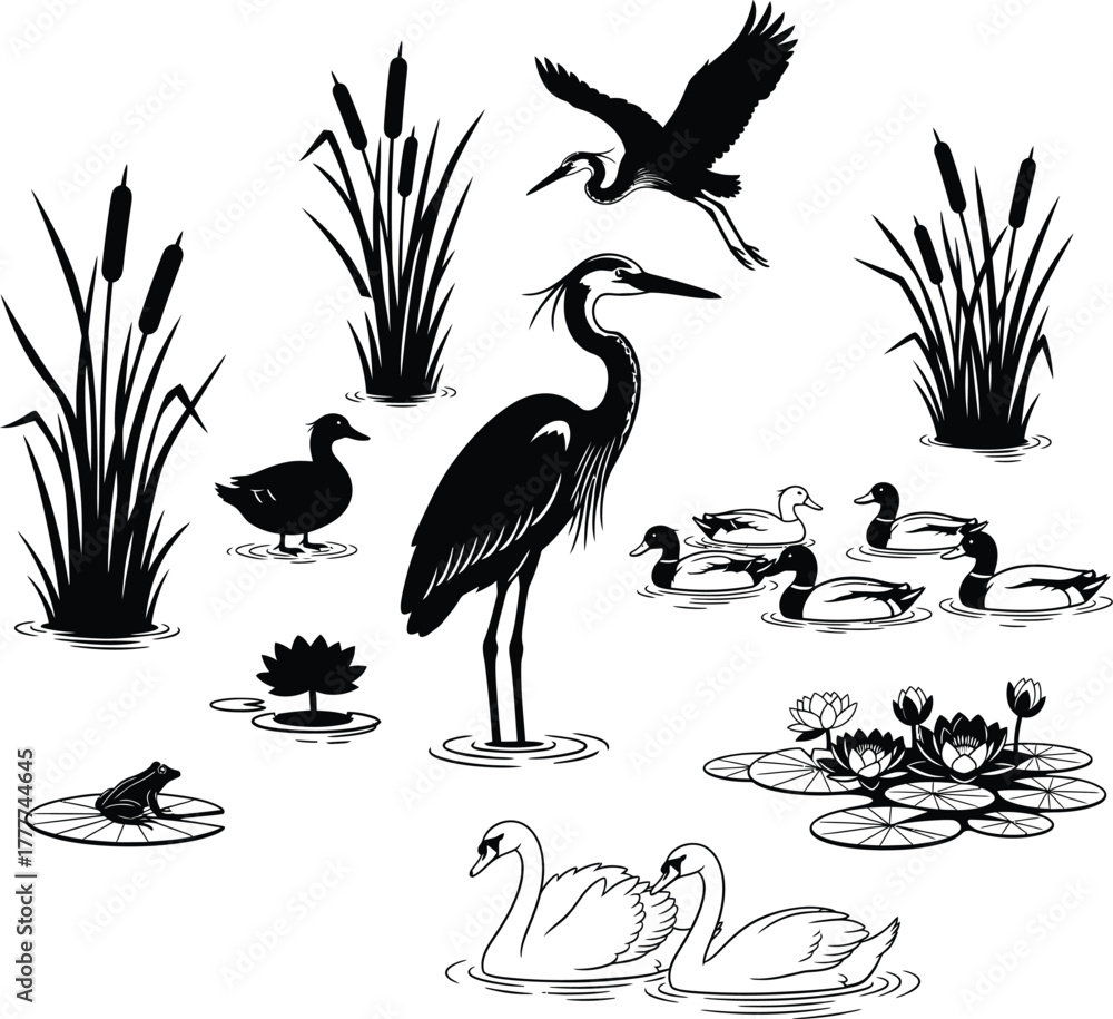 Obraz premium Collection of wetland birds and plants isolated on white background