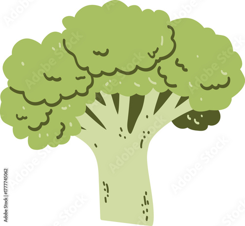 vector illustration of a broccoli