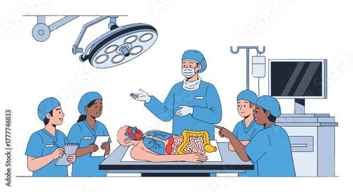 Medical Professionals Perform Surgery And Teach Anatomical Structures For Students