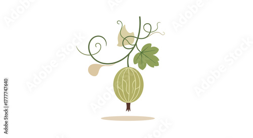 Minimalist Illustration of a Single Gooseberry Fruit and Foliage Against a White Background