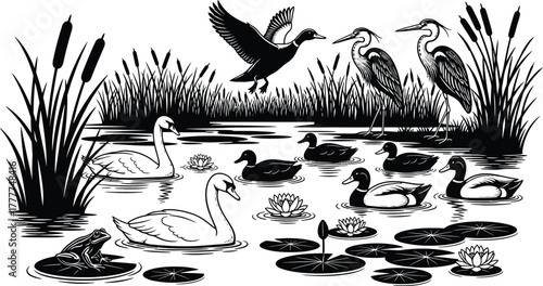 Black and white illustration of various birds and animals in a pond setting isolated on white background