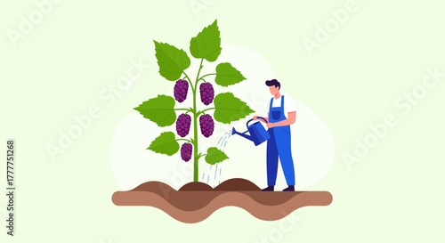 Nurturing Growth: A Gardener Watering the Grapes in an Orchard Environment Scene