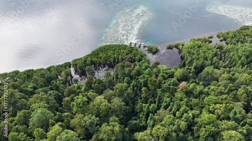 Aerial view of a vibrant blue lagoon surrounded by coral reefs and dense coastal jungle in Raja Ampat, Indonesia.	