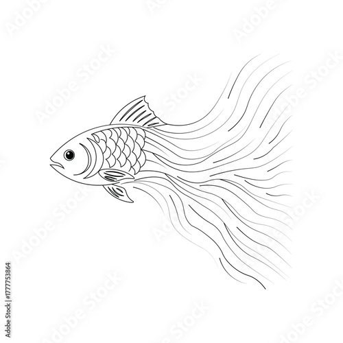 vector illustration of fish, fish line art
