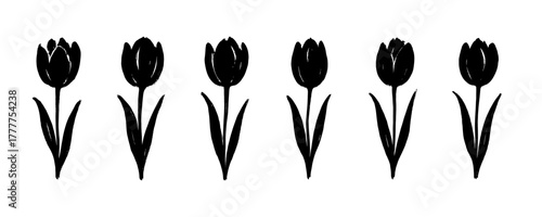 Elegant tulip flower silhouettes arranged in a minimal floral composition. Graceful botanical vector illustration for nature, garden or spring themes