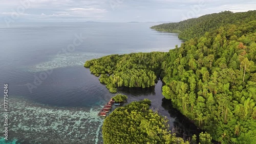 Aerial view of a vibrant blue lagoon surrounded by coral reefs and dense coastal jungle in Raja Ampat, Indonesia.	