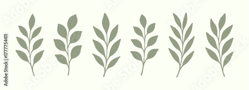 Soft green leaves and branches in natural minimalist arrangement. Fresh botanical vector illustration symbolizing nature and calm aesthetic