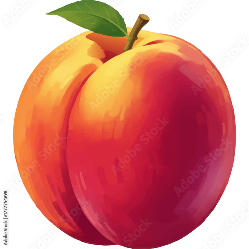 Juicy Summer Nectarine Illustration with Bright Color and Depth