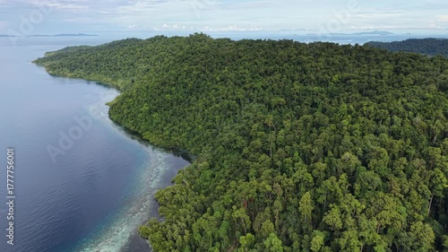 Aerial view of a vibrant blue lagoon surrounded by coral reefs and dense coastal jungle in Raja Ampat, Indonesia.	