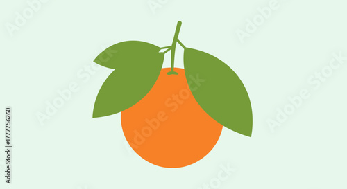Orange Fruit Illustration With Vibrant Green Leaves And Stem On Light Background