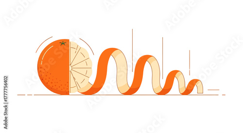 Orange Illustration Depicting a Fresh Citrus Fruit and Its Vibrant Peel in Minimalist Style