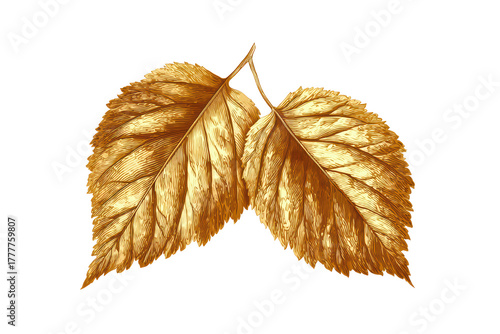 Golden Leaf Pair on Transparent Background Elegant Natural Decorative Element