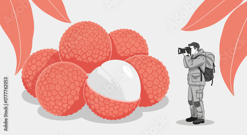 Photographer Capturing Freshly Harvested Lychees in a Vibrant and Modern Illustration
