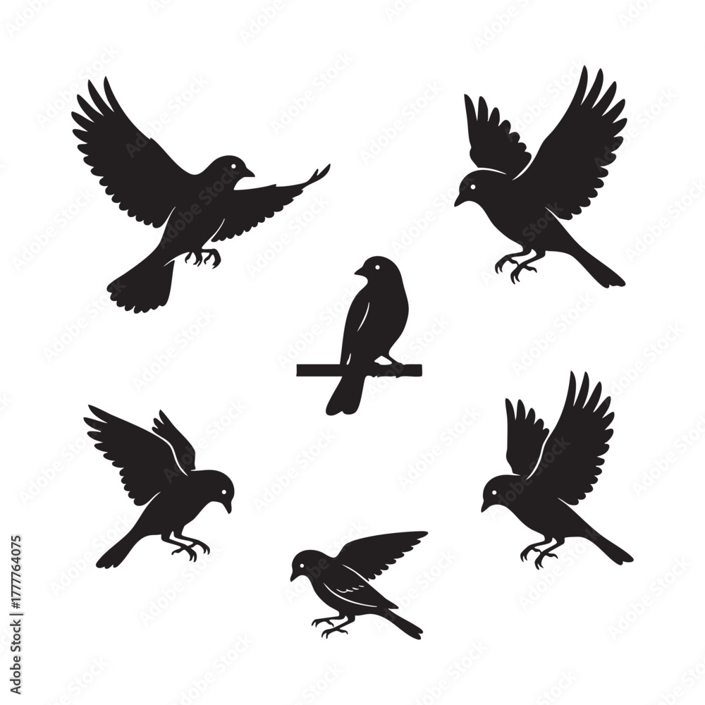 Obraz premium Set of Small Bird Silhouettes Flying and Perching Vector Illustration