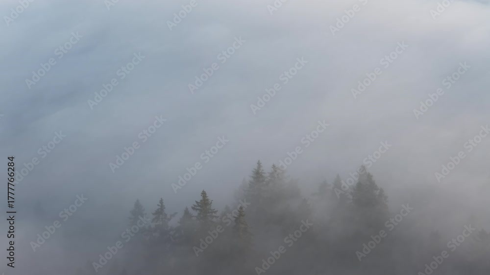 Mist flows through the forests surrounding Portland, Oregon. This scenic Pacific Northwest region is known for its vast forests and rugged Cascade mountains.