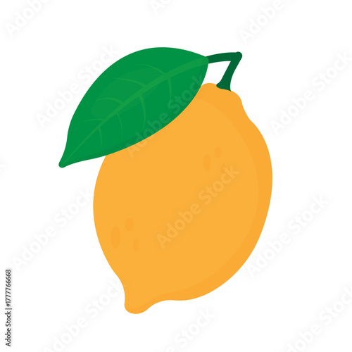 Vector of lemon is vitamin C fruit