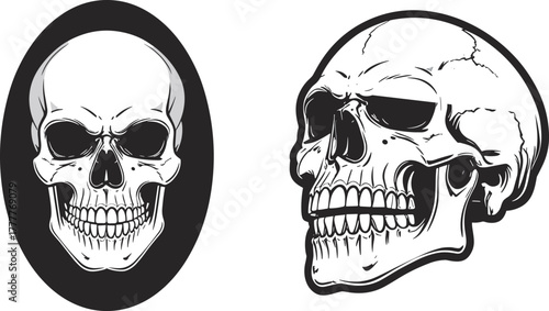 Dual skull vector illustration, frontal and three-quarter views, black and white anatomical design, stylized bone structure artwork, graphic skull composition